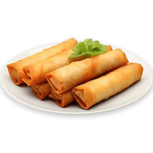 Chcken Sambousek on a white plate