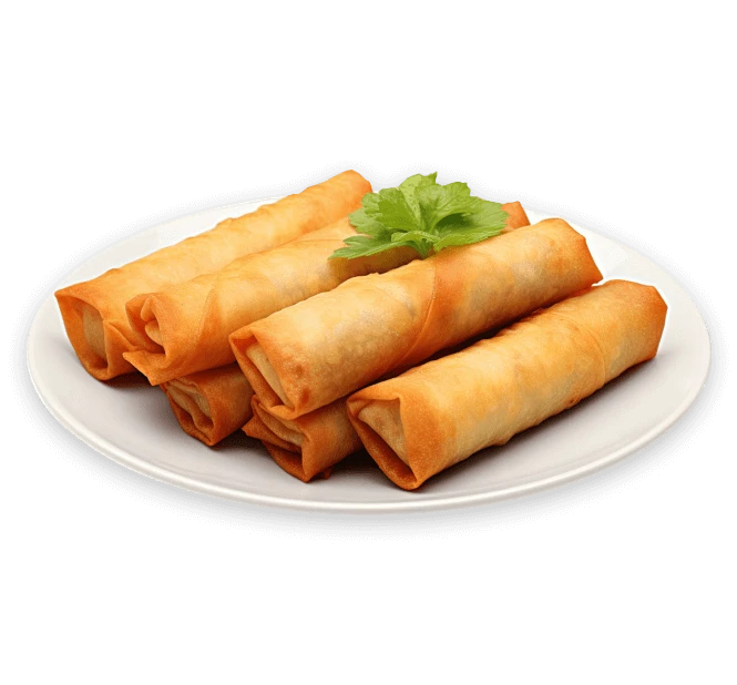 Chcken Sambousek on a white plate